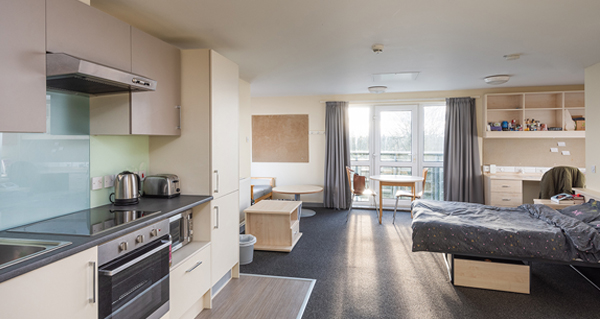 A studio flat in Wentworth College
